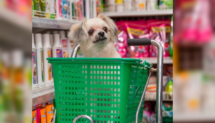 O comportamento do Mercado Veterinário na pandemia