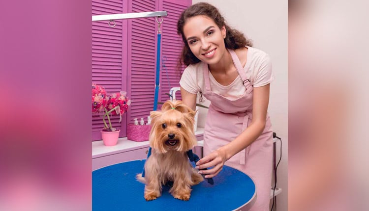 Segmento de Banho e Tosa é o que menos sentiu os efeitos da “coronacrise”