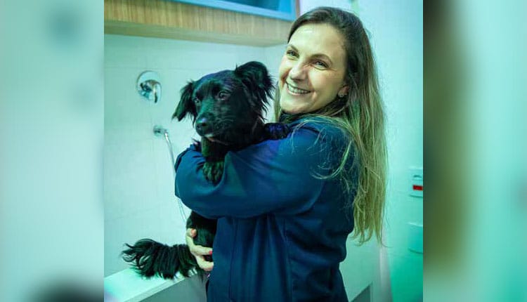 Cromoterapia, prática secular utilizada pelos egípcios, também é indicada para pets