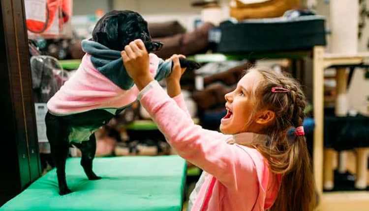 Mercado pet mantém crescimento em 2023