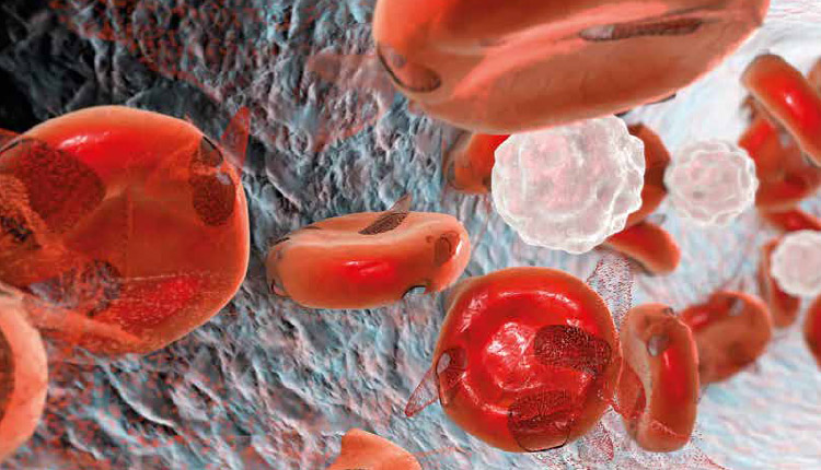 A anemia e suas consequências