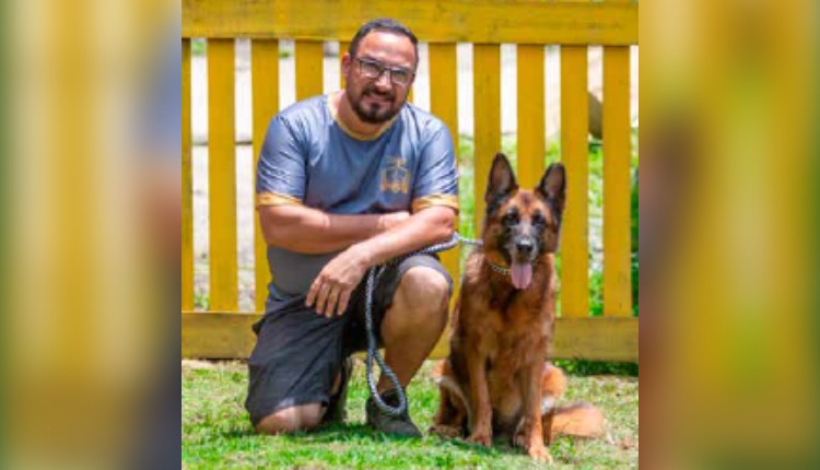 Negócios em alta para investir no mercado pet