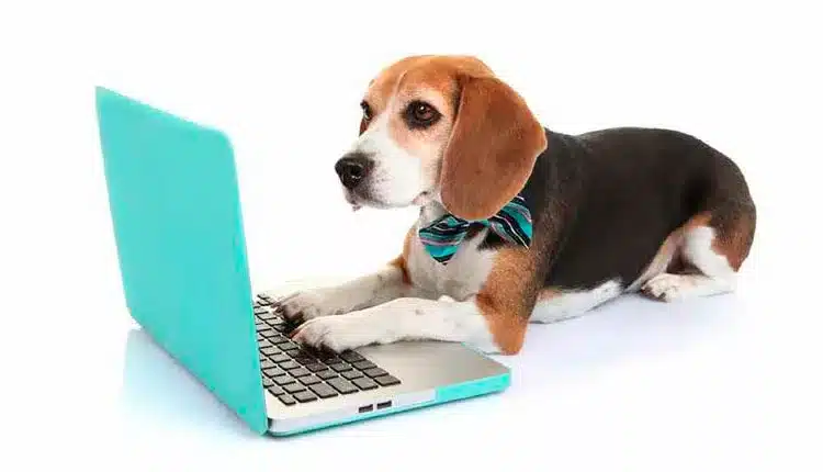 Tecnologia logística é importante aliada do mercado Pet em seu momento de crescimento