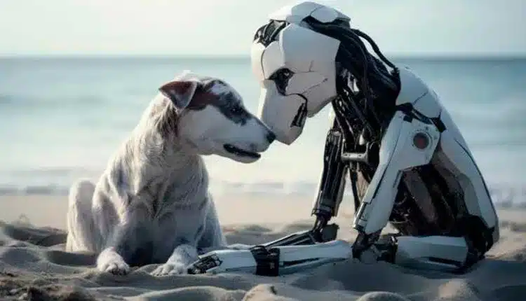 O crescimento do mercado pet tech no Brasil
