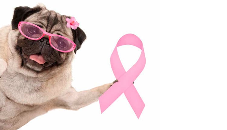 Outubro Rosa